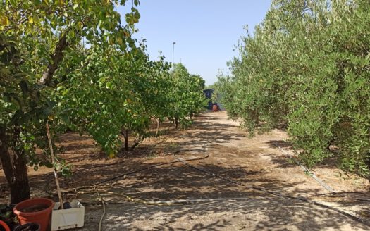 VENTA CHALET REF: 30427