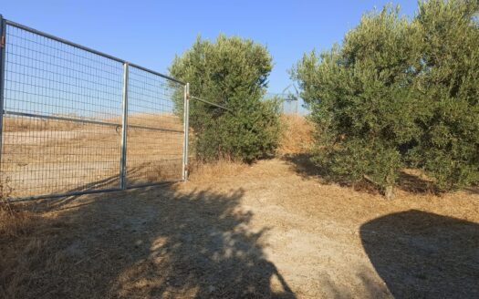 VENTA FINCA REF: 32683