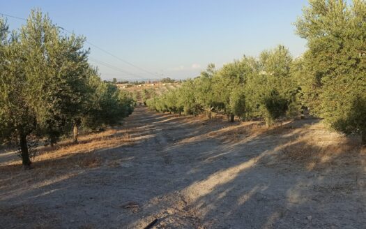 VENTA FINCA REF: 32683